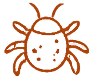 Predator Mite