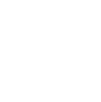 Plant with roots icon
