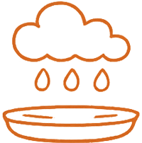 Collect Rainwater