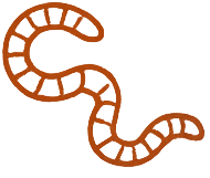 Earthworms