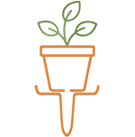 Potted plant