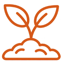 Sprouting plant representing composting directly in the garden